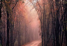 海星体育:德拉富恩特:欧国联的水平和欧洲杯一样;佩德里是天才.