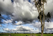 王治郅战神难改口，李昕3次主动意难平！巩晓彬含糊应对.