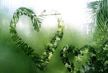 海星体育：命悬一线！AC米兰最快48小时解雇孔塞桑！钦点德甲“探花射手”.