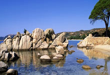 海星体育：国际联年终排名 国位居第90创近10年新低.